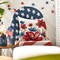 God Bless America Poppy Floral Stars Stripes Throw Pillow Covers 18 x 18